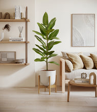 Load image into Gallery viewer, Natural Bamboo stand:bamboo