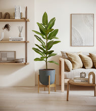 Load image into Gallery viewer, Iron Gray stand:bamboo