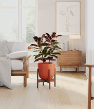 Load image into Gallery viewer, Earth Red stand:walnut