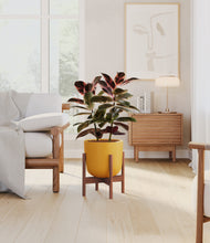 Load image into Gallery viewer, Sunset Orange stand:walnut