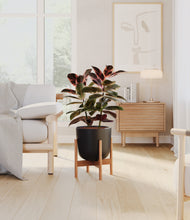 Load image into Gallery viewer, Stone Black stand:bamboo