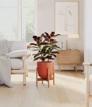 Load image into Gallery viewer, Earth Red stand:bamboo