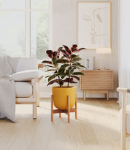 Load image into Gallery viewer, Sunset Orange stand:bamboo