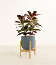 Load image into Gallery viewer, Iron Gray stand:bamboo