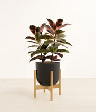 Load image into Gallery viewer, Stone Black stand:bamboo