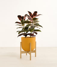 Load image into Gallery viewer, Sunset Orange stand:bamboo