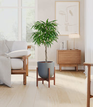 Load image into Gallery viewer, Iron Gray stand:walnut