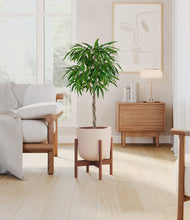 Load image into Gallery viewer, Sandy Pink stand:walnut