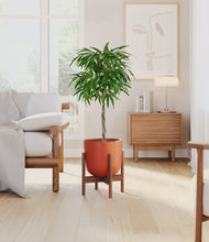 Load image into Gallery viewer, Earth Red stand:walnut