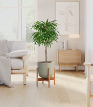 Load image into Gallery viewer, Sage Green stand:bamboo