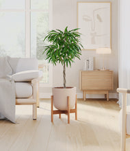 Load image into Gallery viewer, Sandy Pink stand:bamboo