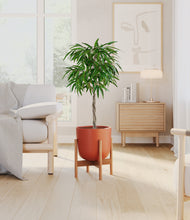 Load image into Gallery viewer, Earth Red stand:bamboo