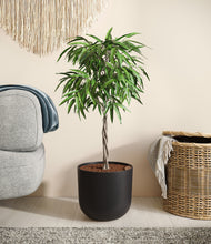 Load image into Gallery viewer, Stone Black