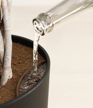 Load image into Gallery viewer, Stone Black stand:all