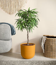 Load image into Gallery viewer, Sunset Orange