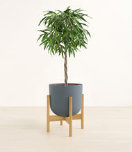 Load image into Gallery viewer, Iron Gray stand:bamboo