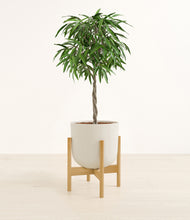 Load image into Gallery viewer, Natural Bamboo stand:bamboo