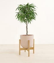 Load image into Gallery viewer, Sandy Pink stand:bamboo