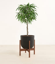 Load image into Gallery viewer, Stone Black stand:walnut