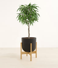 Load image into Gallery viewer, Stone Black stand:bamboo
