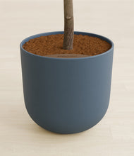 Load image into Gallery viewer, Iron Gray stand:all