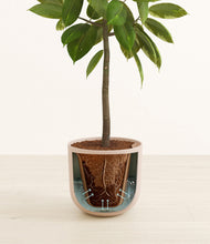 Load image into Gallery viewer, Sandy Pink stand:all