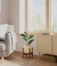 Load image into Gallery viewer, Almond Green stand:walnut