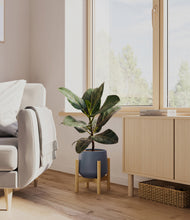 Load image into Gallery viewer, Deep Navy stand:light