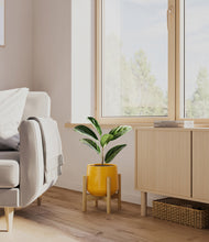 Load image into Gallery viewer, Mustard stand:bamboo