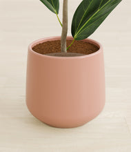 Load image into Gallery viewer, Calm Rose stand:all