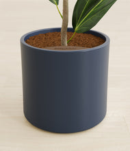 Load image into Gallery viewer, Deep Navy stand:all