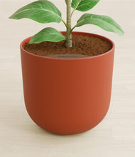 Load image into Gallery viewer, Earth Red stand:all