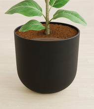 Load image into Gallery viewer, Stone Black stand:all