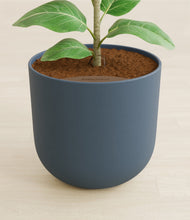 Load image into Gallery viewer, Iron Gray stand:all