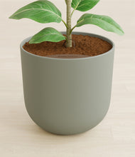 Load image into Gallery viewer, Sage Green stand:all