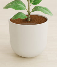 Load image into Gallery viewer, Natural Bamboo stand:all