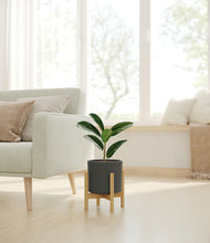 Load image into Gallery viewer, Dark Olive stand:bamboo