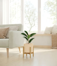 Load image into Gallery viewer, Cream stand:bamboo