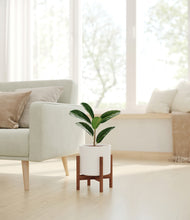 Load image into Gallery viewer, White stand:walnut