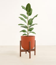 Load image into Gallery viewer, Earth Red stand:walnut