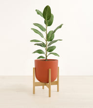Load image into Gallery viewer, Earth Red stand:bamboo