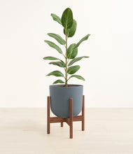 Load image into Gallery viewer, Iron Gray stand:walnut