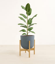 Load image into Gallery viewer, Iron Gray stand:bamboo