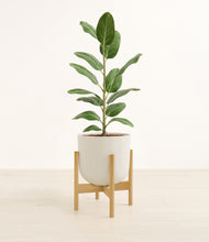 Load image into Gallery viewer, Natural Bamboo stand:bamboo