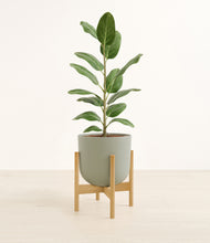 Load image into Gallery viewer, Sage Green stand:bamboo