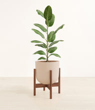 Load image into Gallery viewer, Sandy Pink stand:walnut