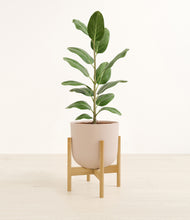 Load image into Gallery viewer, Sandy Pink stand:bamboo