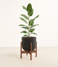 Load image into Gallery viewer, Stone Black stand:walnut