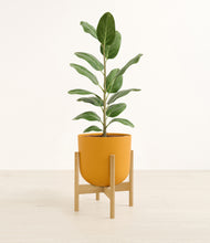 Load image into Gallery viewer, Sunset Orange stand:bamboo