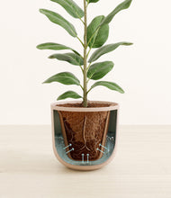 Load image into Gallery viewer, Sandy Pink stand:all